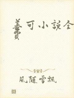 姜可小说全文免费封面