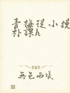 青梅从小摸到大补课h