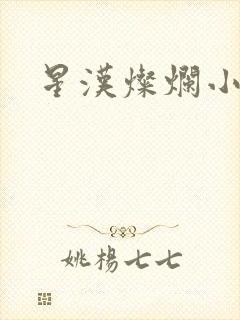 星汉灿烂小说