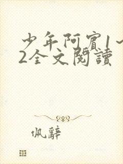 少年阿宾1～72全文阅读