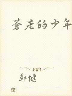 苍老的少年封面