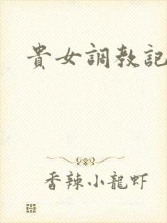 贵女调教记