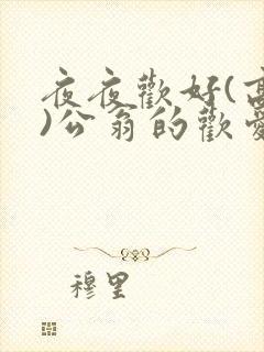 夜夜欢好(高h)公翁的欢爱