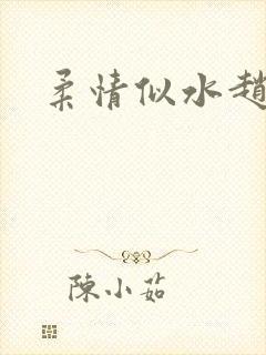 柔情似水赵雅儿