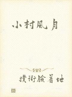 小村风月封面