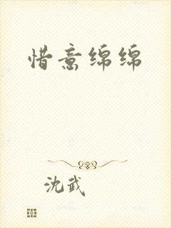 惜意绵绵封面