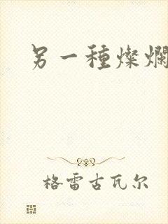 另一种灿烂生活