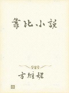 靠比小说