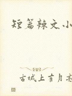 短篇辣文小说