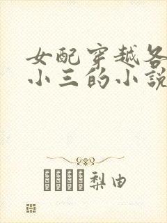 女配穿越各个做小三的小说