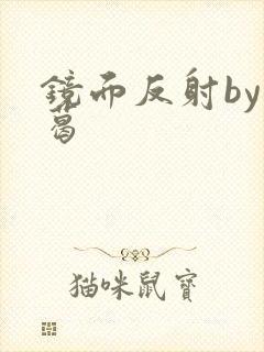 镜面反射by九葛