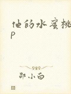 他的水蜜桃pop封面