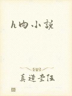h肉小说