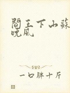 阎王下山苏文陆晚风封面