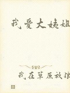 我爱大姨姐封面