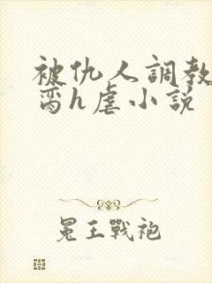 被仇人调教成禁脔h虐小说