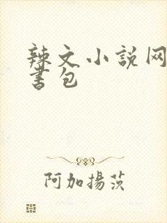 辣文小说网第二书包封面