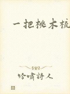一把桃木梳封面