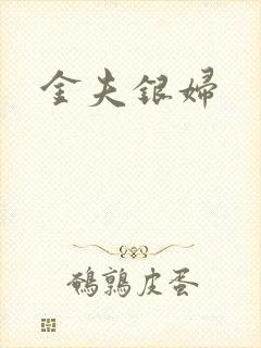 金夫银妇封面
