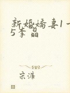 新婚娇妻1一25李晶