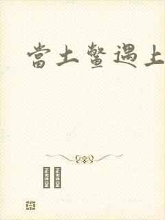 当土鳖遇上海龟