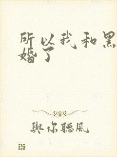 所以我和黑粉结婚了