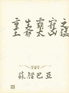 重生霸宠之摄政王爷太凶猛