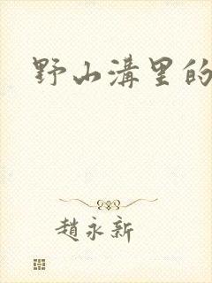 野山沟里的村庄