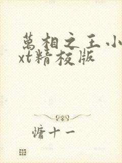 万相之王小说txt精校版封面