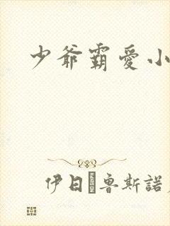 少爷霸爱小丫头