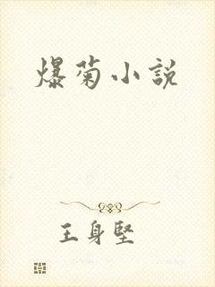 爆菊小说