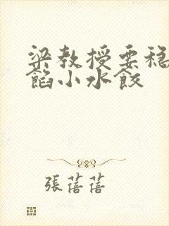 梁教授要稳住肉馅小水饺封面