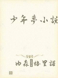 少年梦小说