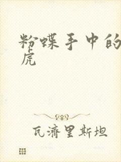 粉蝶手中的纸老虎