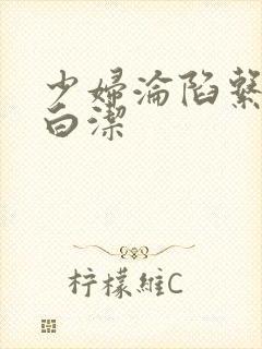 少妇沦陷系列之白洁封面