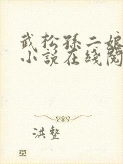 武松孙二娘云雨小说在线阅读封面