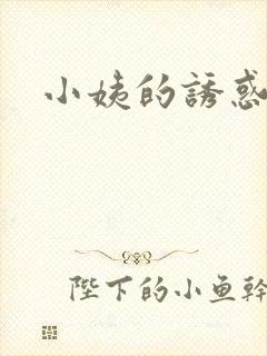 小姨的诱惑小说封面