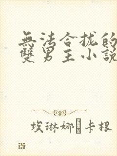 无法合拢的总裁双男主小说