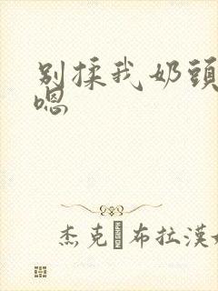 别揉我奶头啊 嗯