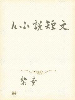 h小说短文