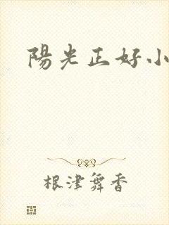 阳光正好小说封面