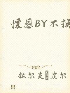 怀恩BY不换
