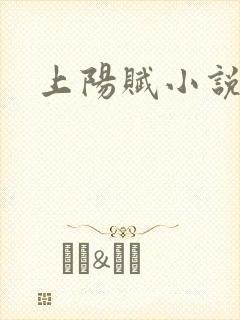 上阳赋小说封面