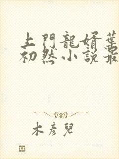 上门龙婿叶辰萧初然小说最新章节封面