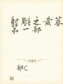 射雕之黄蓉新传第一部封面