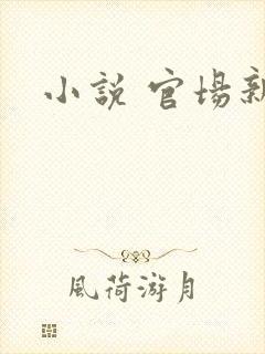 小说 官场新贵