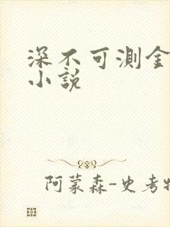深不可测金银花小说