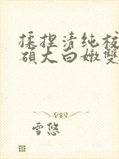 揉捏清纯校花的硕大白嫩双乳小说封面