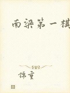 南梁第一棋手封面