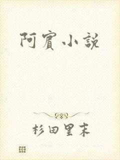 阿宾小说